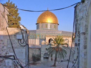 מערכות אבטחה ומיגון       