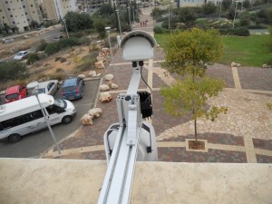 עיר ללא אלימות            